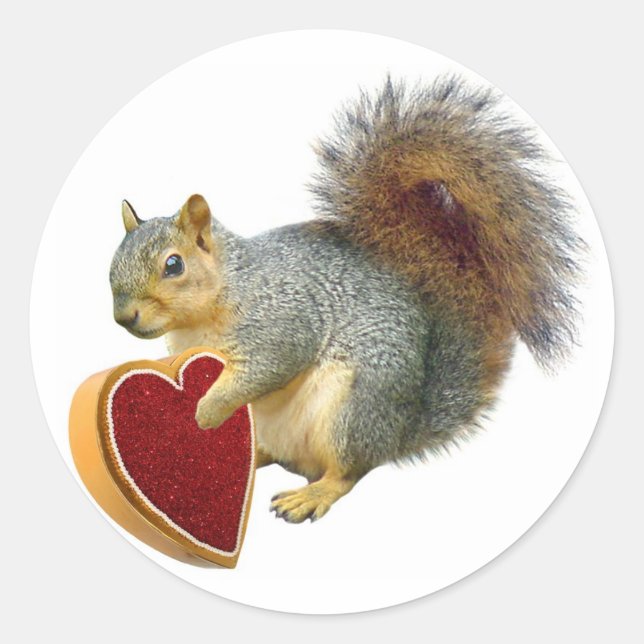 Squirrel Valentine Classic Round Sticker (Front)