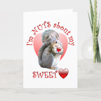 Squirrel Valentine Holiday Card