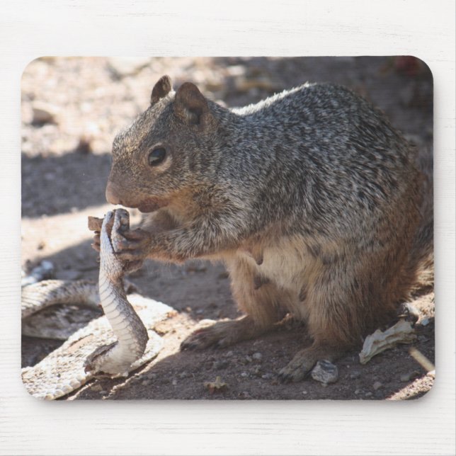 Squirrel vs. Rattlesnake Mousepad (Front)