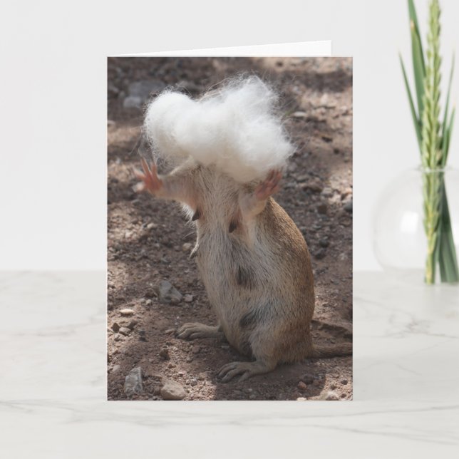 Squirrel vs. Samoyed Fur Greeting Card (Front)