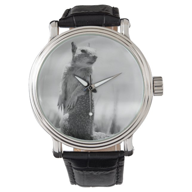 Squirrel Watch (Front)