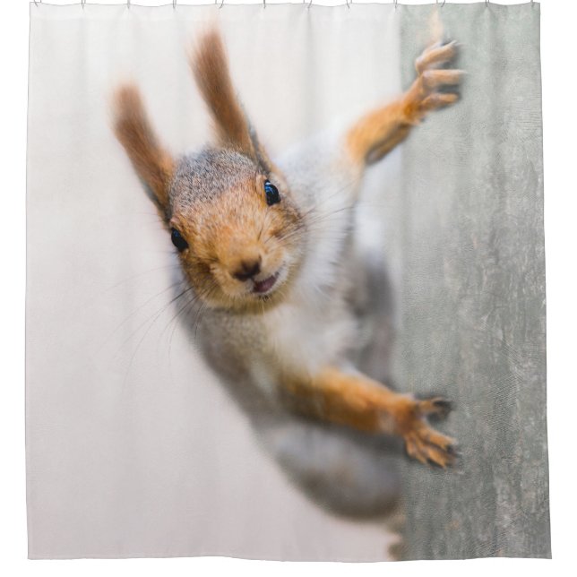 Squirrel - Who Are You (Front)