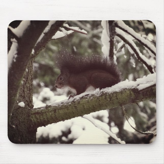 Squirrel Winter Photo  Mousepad (Front)