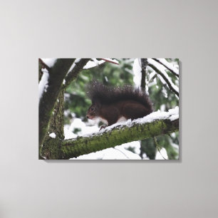 Squirrel Winter Photo Single Print