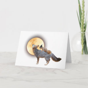 Squirrel Witch on Fox Card