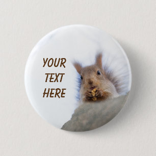 Squirrel with a walnut 2 inch round button