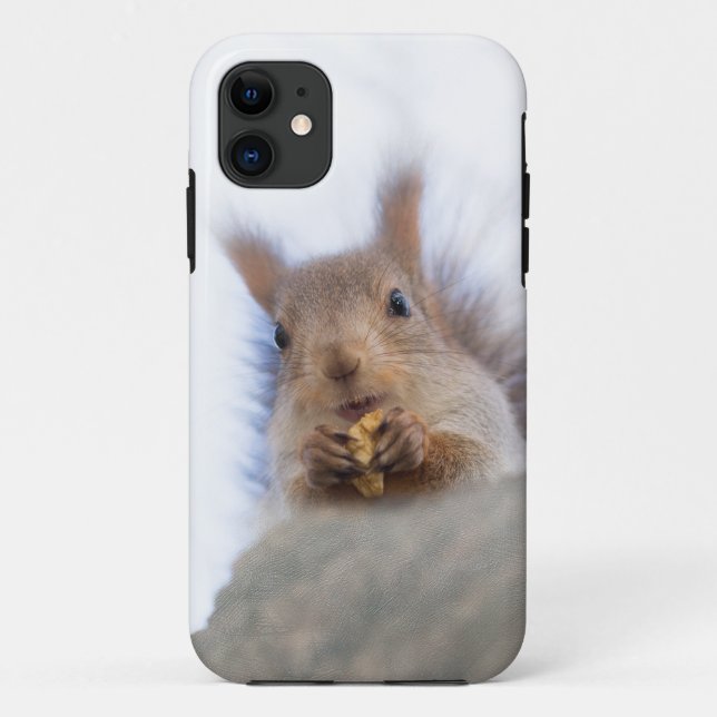 Squirrel with a walnut Case-Mate iPhone case (Back)