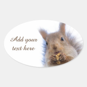 Squirrel with a walnut oval sticker