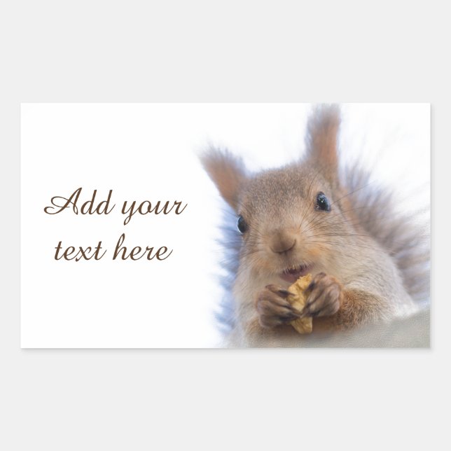 Squirrel with a walnut sticker (Front)