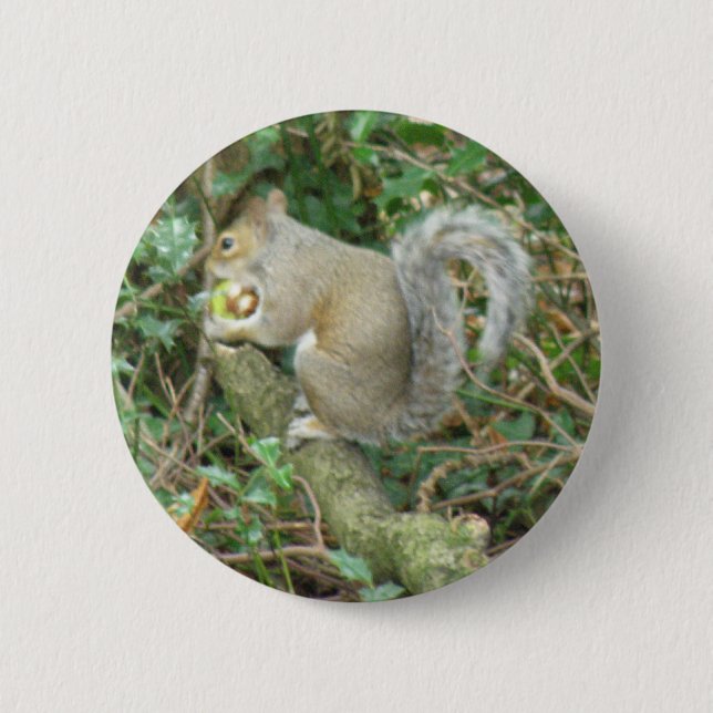 Squirrel with Acorn Button (Front)