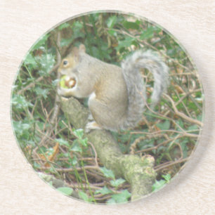 Squirrel with Acorn Coasters