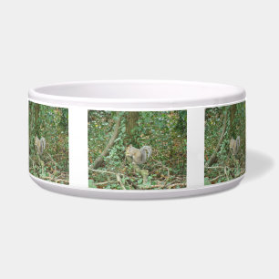 Squirrel with Acorn Dog Bowl