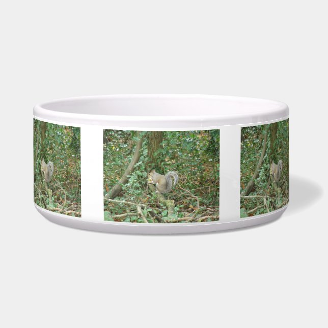 Squirrel with Acorn Dog Bowl (Front)