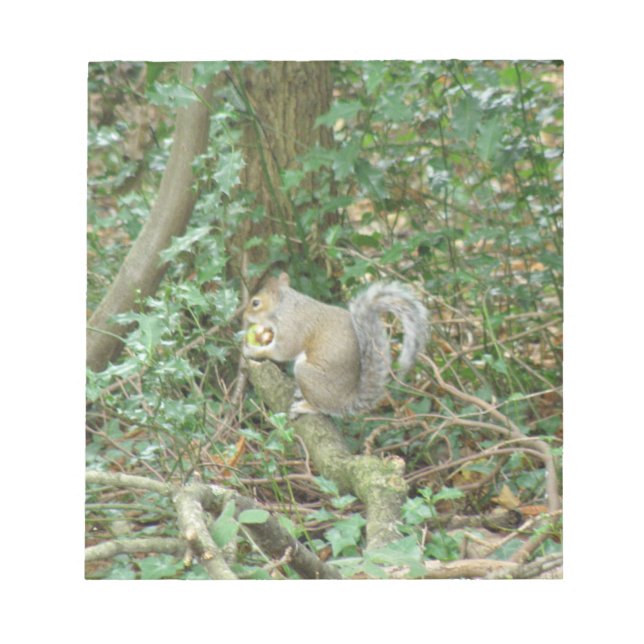 Squirrel with Acorn Notepad (Front)