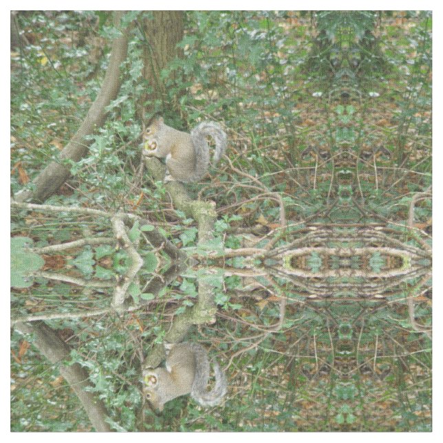 Squirrel with Acorn Patterned Animal Fabric (Close Up)