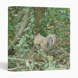 Squirrel with Acorn Photograph Album Binder