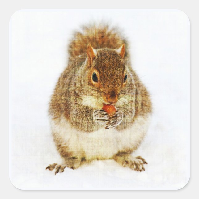 Squirrel with an Acorn Square Sticker (Front)