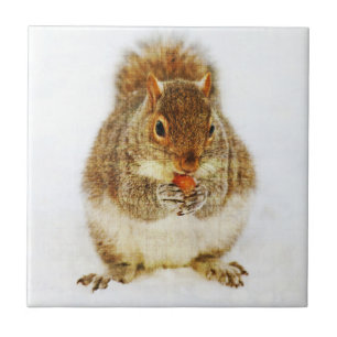 Squirrel with an Acorn Tile