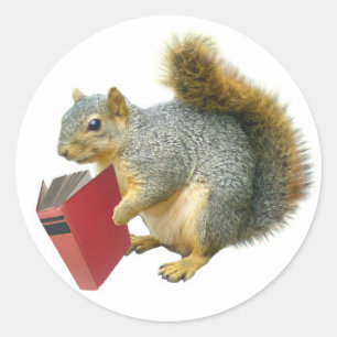 Squirrel with Book Classic Round Sticker