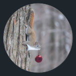 Squirrel with Christmas ornament stickers<br><div class="desc">Matching greeting cards,  postage stamps,  ornaments and other products are available in my Zazzle store.</div>