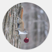 Squirrel with Christmas ornament stickers
