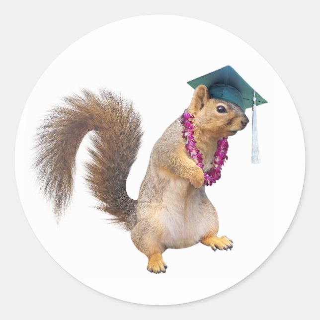 Squirrel with Lei Graduation Sticker (Front)