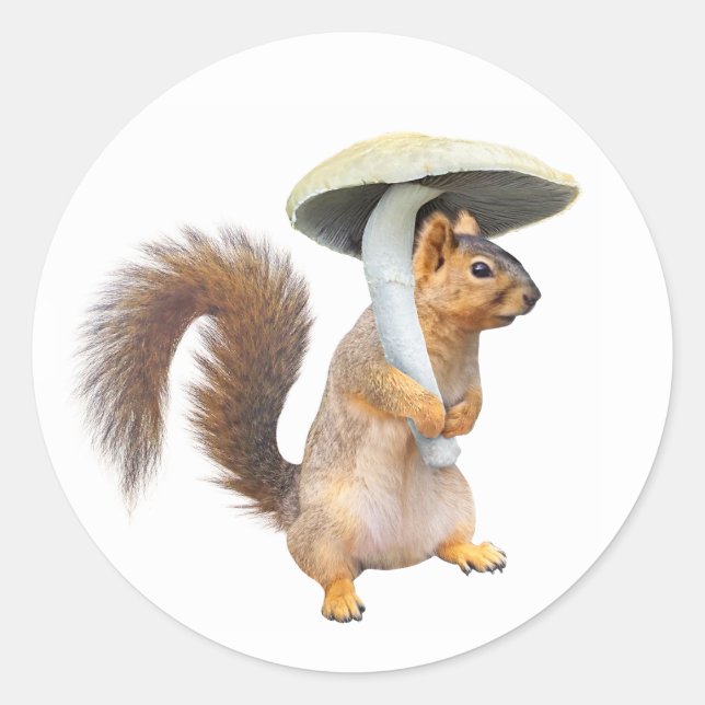 Squirrel with Mushroom Sticker (Front)