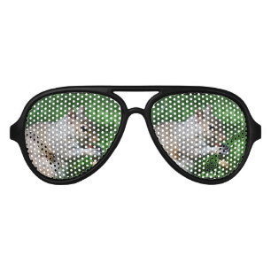 Squirrel with Nut Aviator Sunglasses