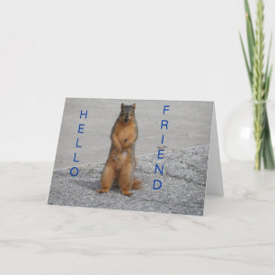 Squirrel With Nut, Hello Friend Card
