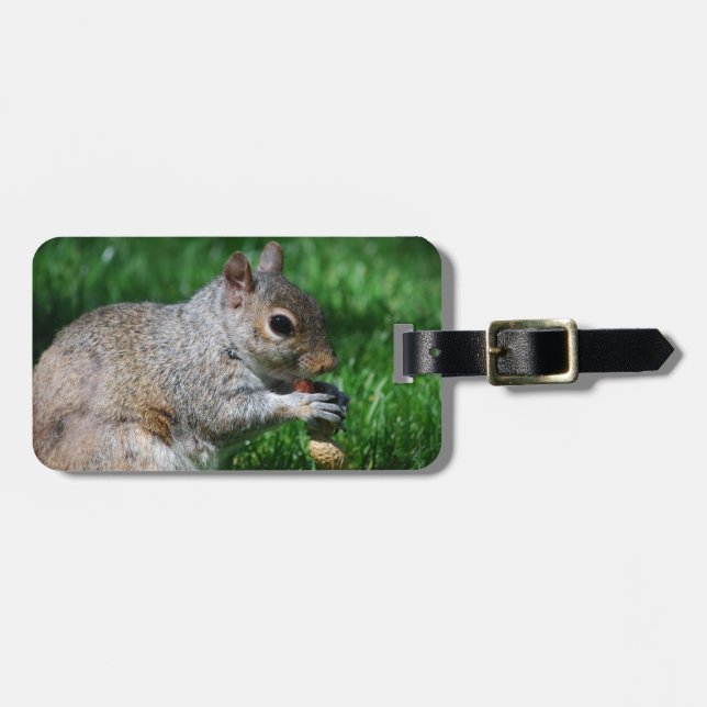 Squirrel with Nut Luggage Tag (Front Horizontal)