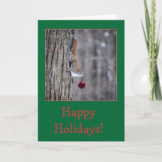 Squirrel with ornament Christmas greeting cards (Front)