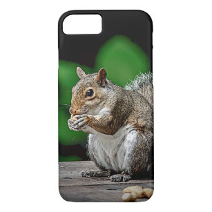 Squirrel with peanuts Case-Mate iPhone case