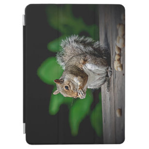 Squirrel with peanuts iPad air cover