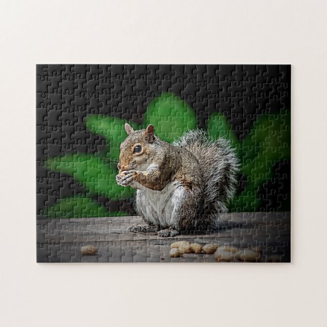 Squirrel with peanuts jigsaw puzzle (Horizontal)