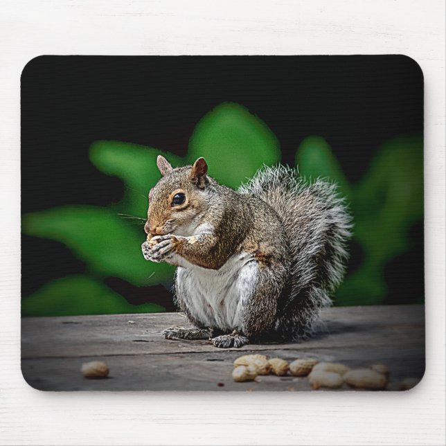 Squirrel with peanuts mouse pad (Front)