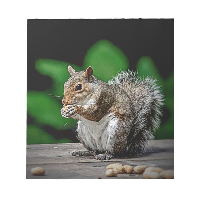 Squirrel with peanuts notepad (Front)