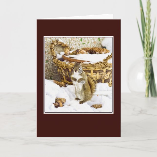 Squirrel with pinecones - greeting card (Front)