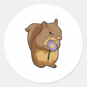 Squirrel with purple Flower Classic Round Sticker