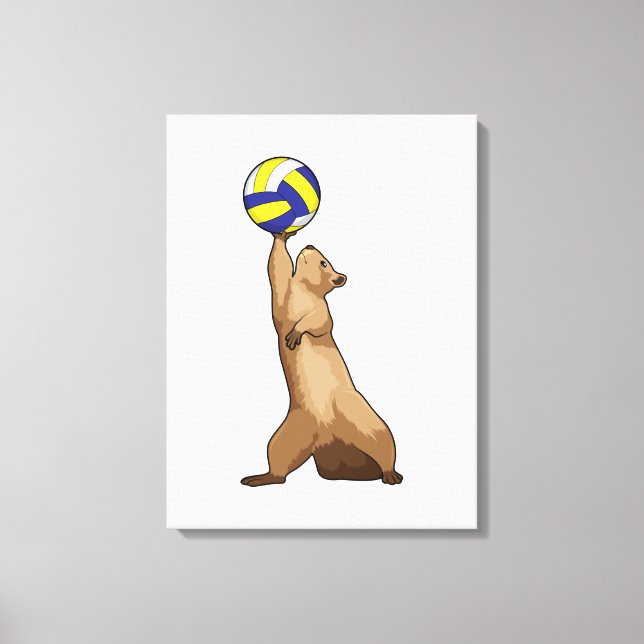 Squirrel with Volleyball Canvas Print (Front)