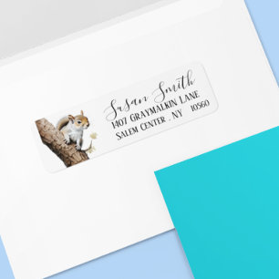 Squirrel Woodland Script Adresse