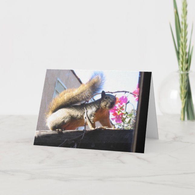 Squirrel World Housewarming Card (Front)