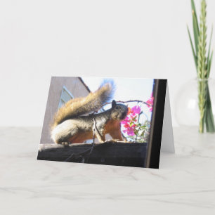 Squirrel World Housewarming Card