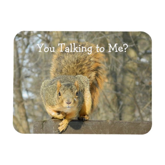 Squirrel (You Talking)  Magnet (Horizontal)