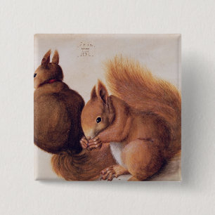 Squirrels, 1512 2 inch square button
