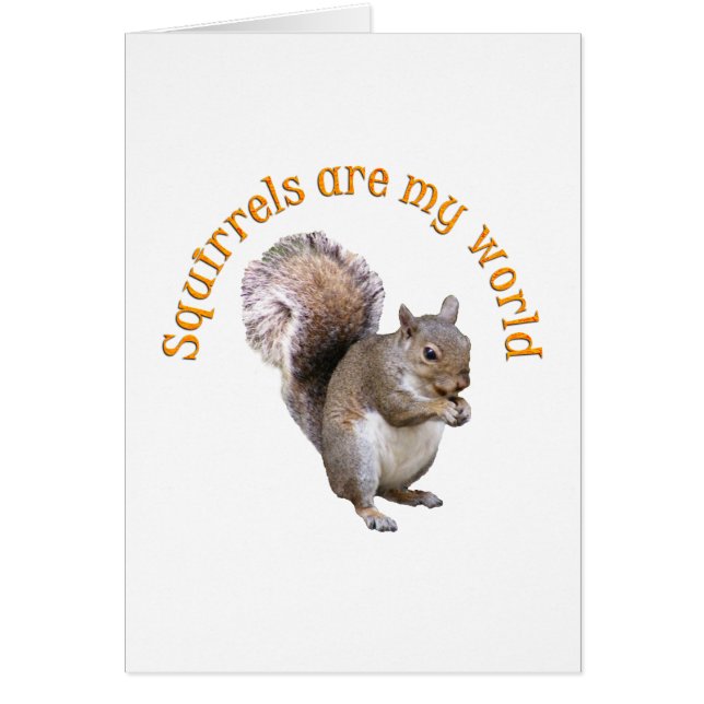 Squirrels are my World (Front)