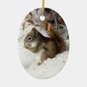 Squirrel's Breakfast Ceramic Ornament