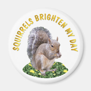 Squirrels Brighten My Day Magnet