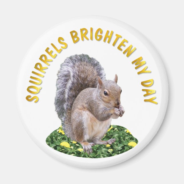 Squirrels Brighten My Day Magnet (Front)