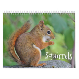 Squirrels Calendar