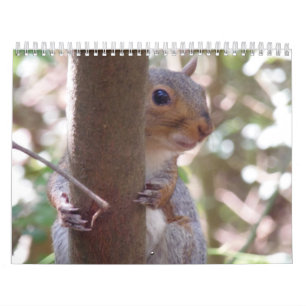 Squirrels Calendar